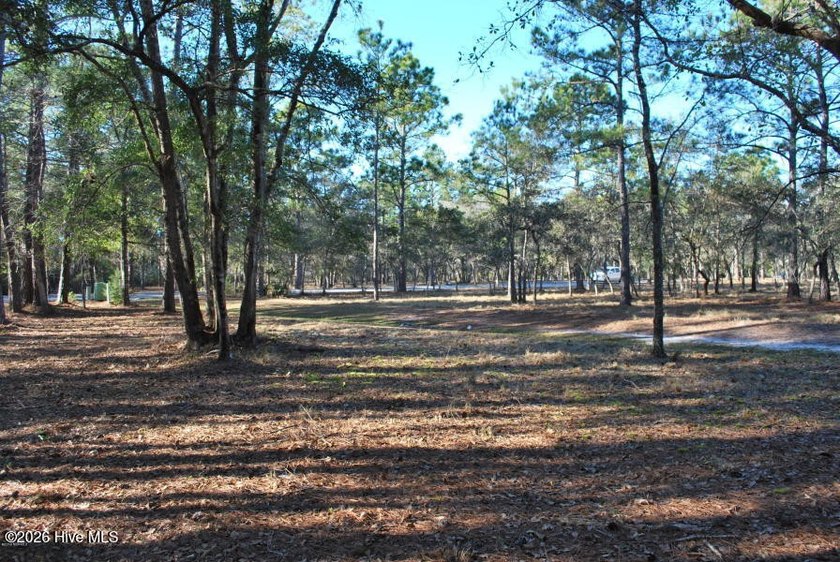 This beautifully wooded lot situated in the maritime forest of - Beach Lot for sale in Supply, North Carolina on Beachhouse.com