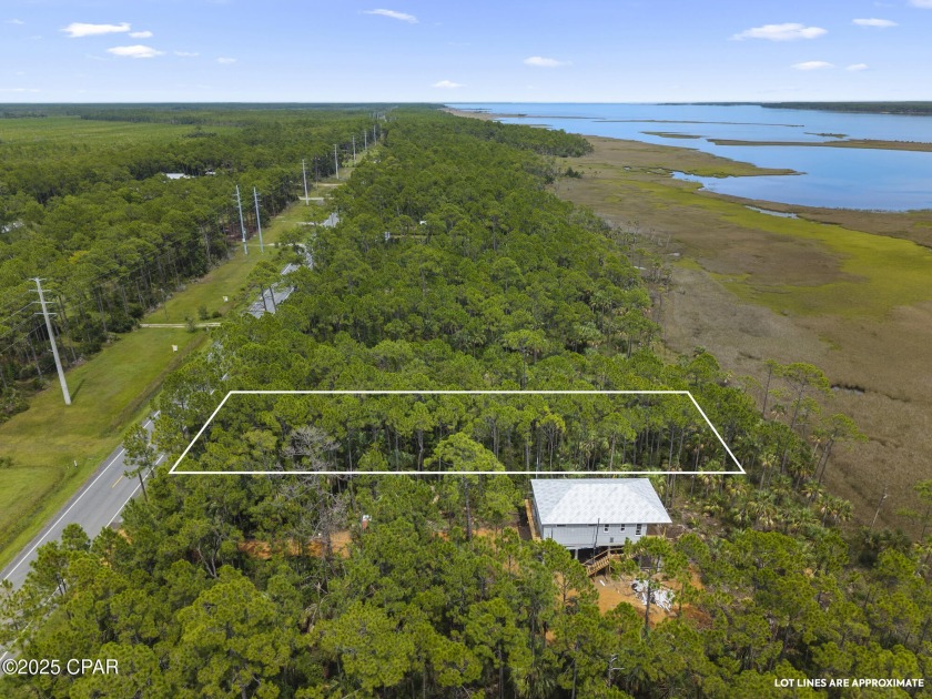 Discover the perfect setting for your dream home on this - Beach Lot for sale in Port St Joe, Florida on Beachhouse.com