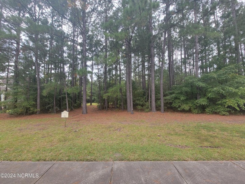 Nicely wooded .33/acre home site backing up to thick tree - Beach Lot for sale in Calabash, North Carolina on Beachhouse.com