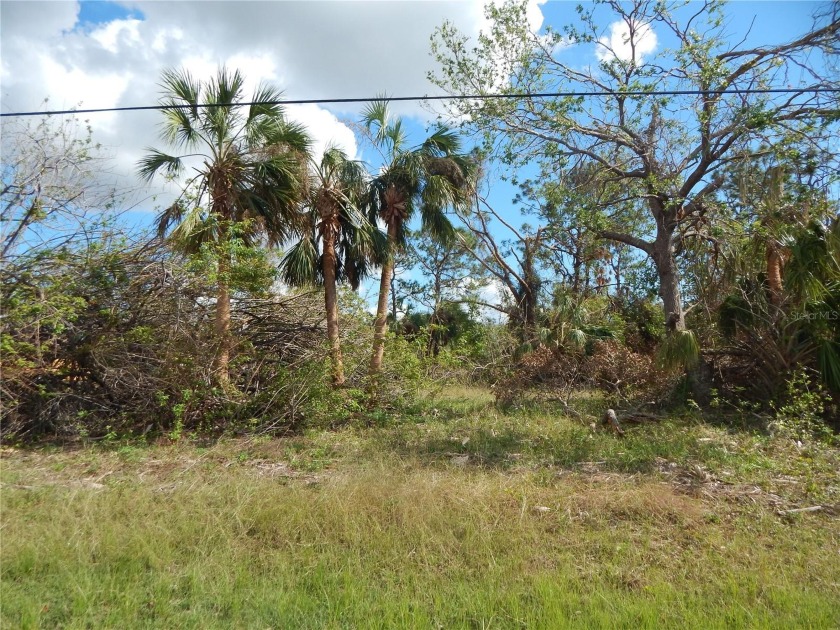 Two Large Salt Water Lots. 160 ft of Salt water frontage. Lot - Beach Lot for sale in Port Charlotte, Florida on Beachhouse.com