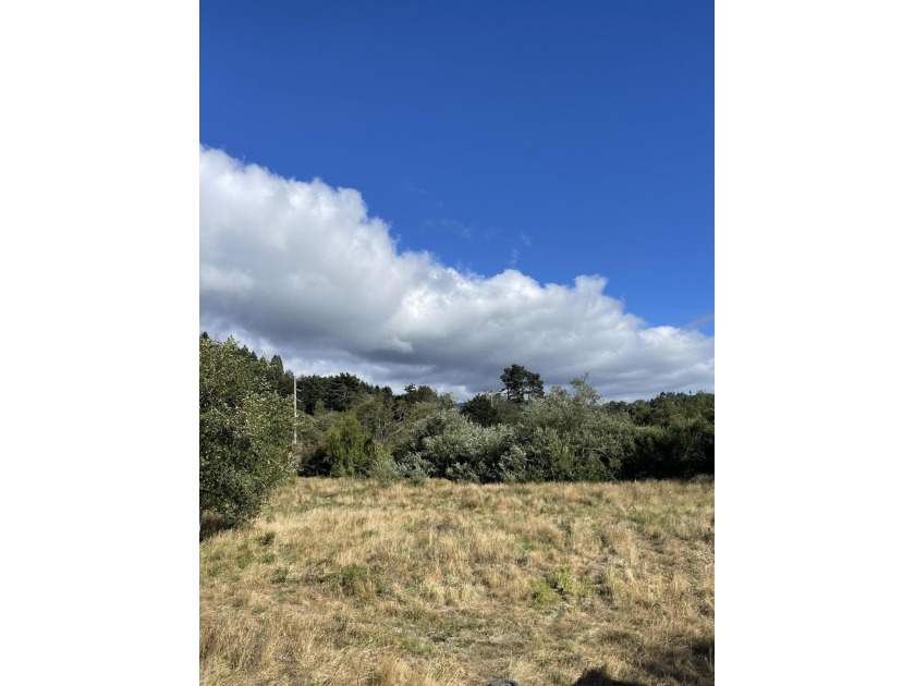 Create your dream home on this beautiful flat parcel in sunny - Beach Lot for sale in Eureka, California on Beachhouse.com