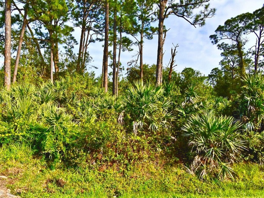 Discover Florida paradise with this land for sale, nestled near - Beach Lot for sale in Fort Pierce, Florida on Beachhouse.com