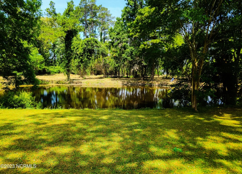 The 1.45-acre waterfront property offers a picturesque and - Beach Lot for sale in Bayboro, North Carolina on Beachhouse.com