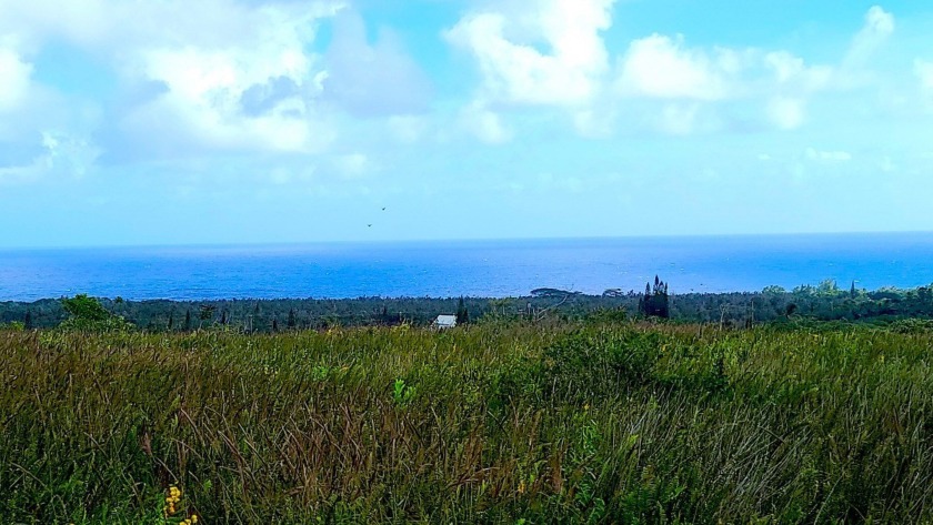 37 Acres of privacy, and spectacular ocean views.  County water - Beach Acreage for sale in Pahoa, Hawaii on Beachhouse.com