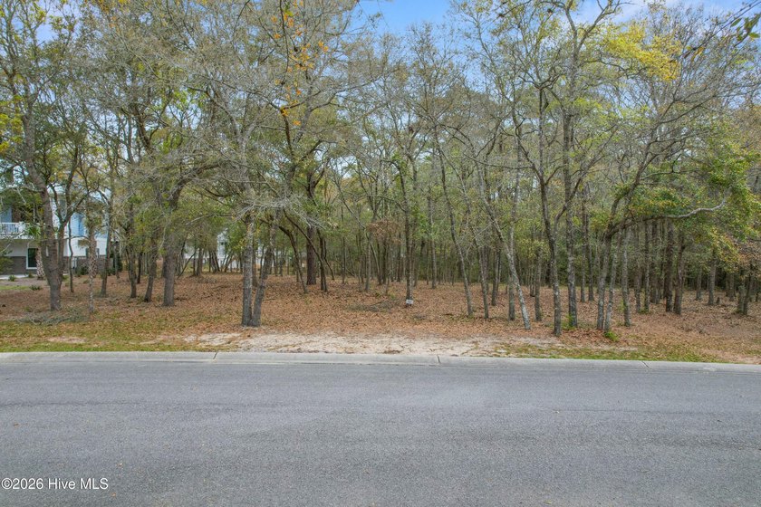 Here's your opportunity to build your coastal dream home. This - Beach Lot for sale in Supply, North Carolina on Beachhouse.com