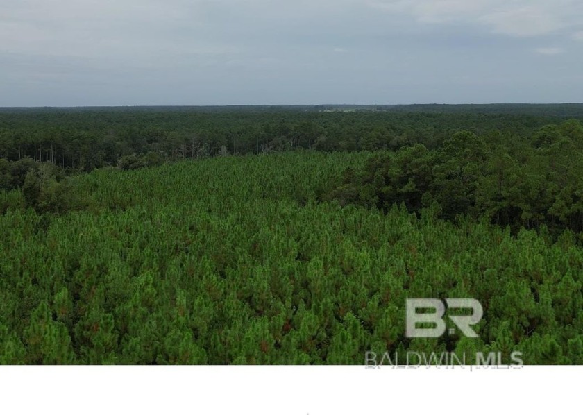 +-185 acres in the heart of Baldwin County, Alabama, accentuated - Beach Acreage for sale in Elberta, Alabama on Beachhouse.com