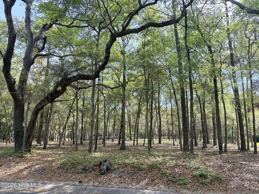 Here's your opportunity to build your coastal dream home. This - Beach Lot for sale in Supply, North Carolina on Beachhouse.com