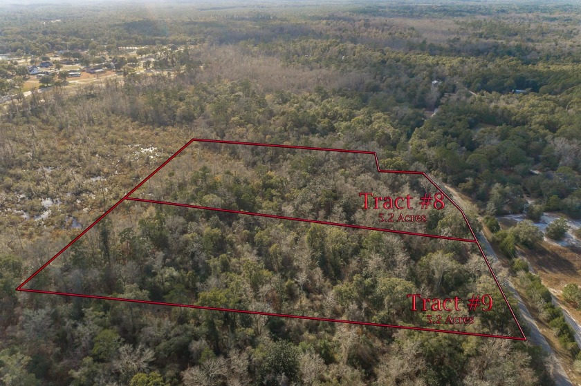 Your search ends here:  Over 5 Wooded Acres on a Paved Road with - Beach Acreage for sale in Crawfordville, Florida on Beachhouse.com