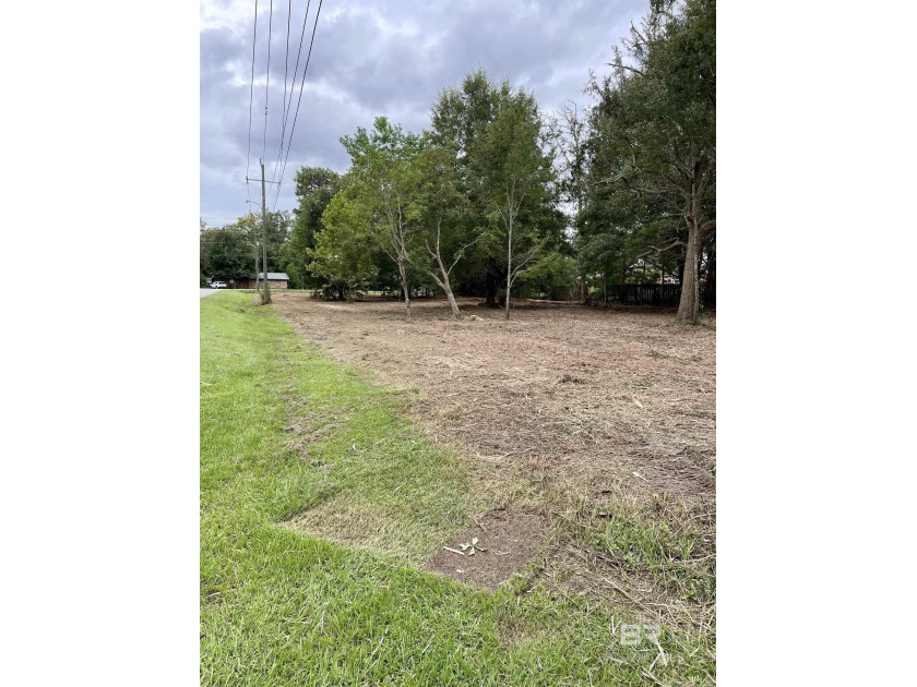 Motivated seller offering this fantastic opportunity with this - Beach Lot for sale in Elberta, Alabama on Beachhouse.com