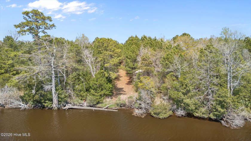 This exceptional undeveloped acreage offers a rare combination - Beach Acreage for sale in Hubert, North Carolina on Beachhouse.com