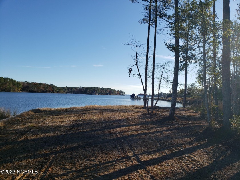 A 7.4 acre, wooded, well elevated lot. It is hard to find a well - Beach Acreage for sale in Arapahoe, North Carolina on Beachhouse.com