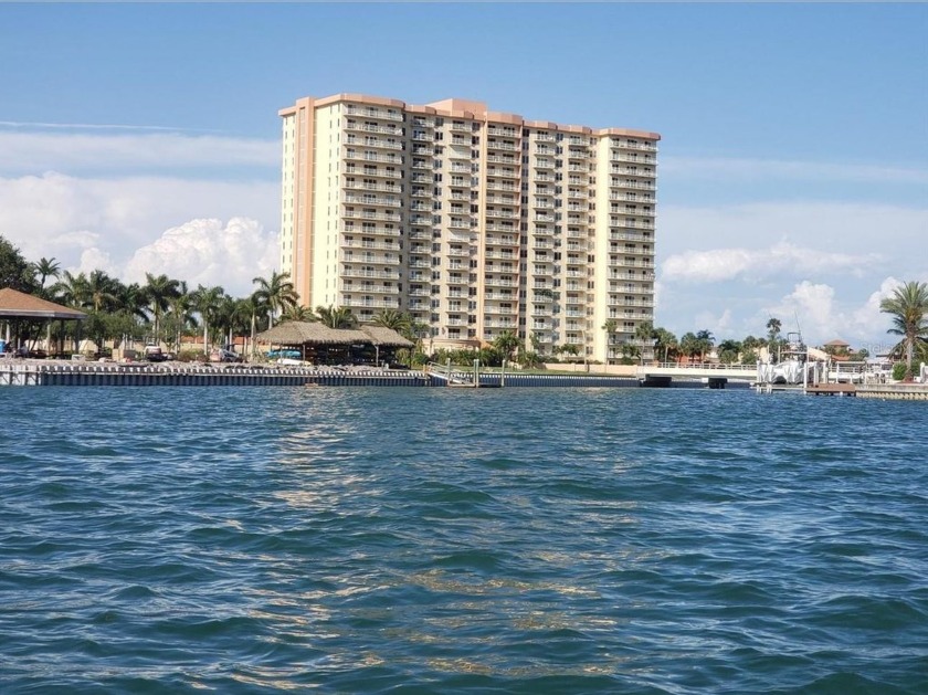 You will be captivated by the views of the sparkling waters of - Beach Condo for sale in St. Petersburg, Florida on Beachhouse.com