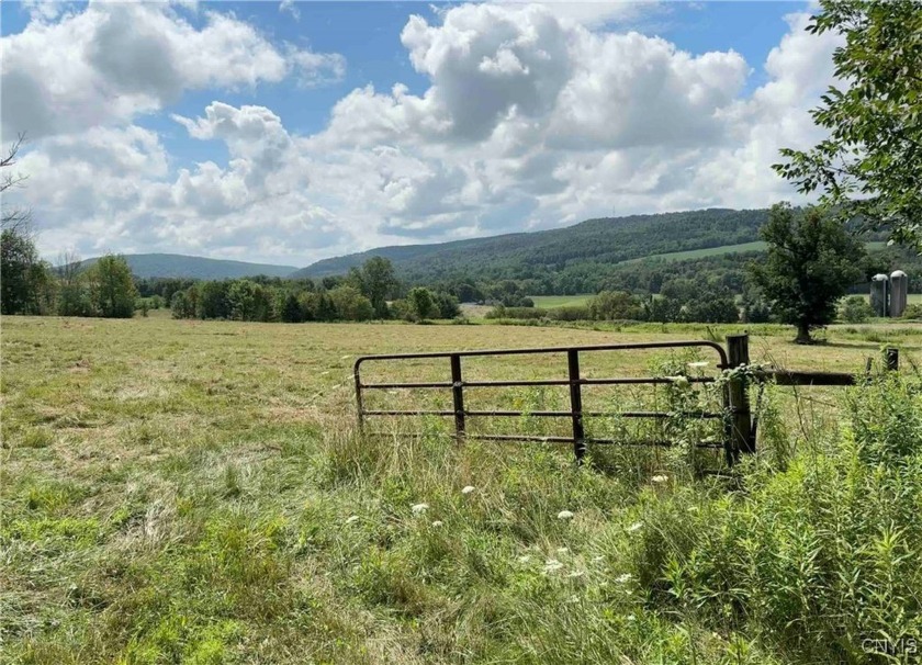 This land is a rare find today!  The southern 70+ acre section - Beach Acreage for sale in Barker, New York on Beachhouse.com