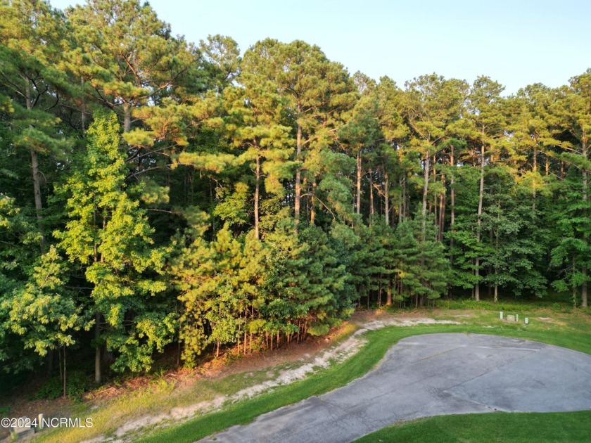 Great location on this .49 acre property located in the - Beach Lot for sale in Hertford, North Carolina on Beachhouse.com