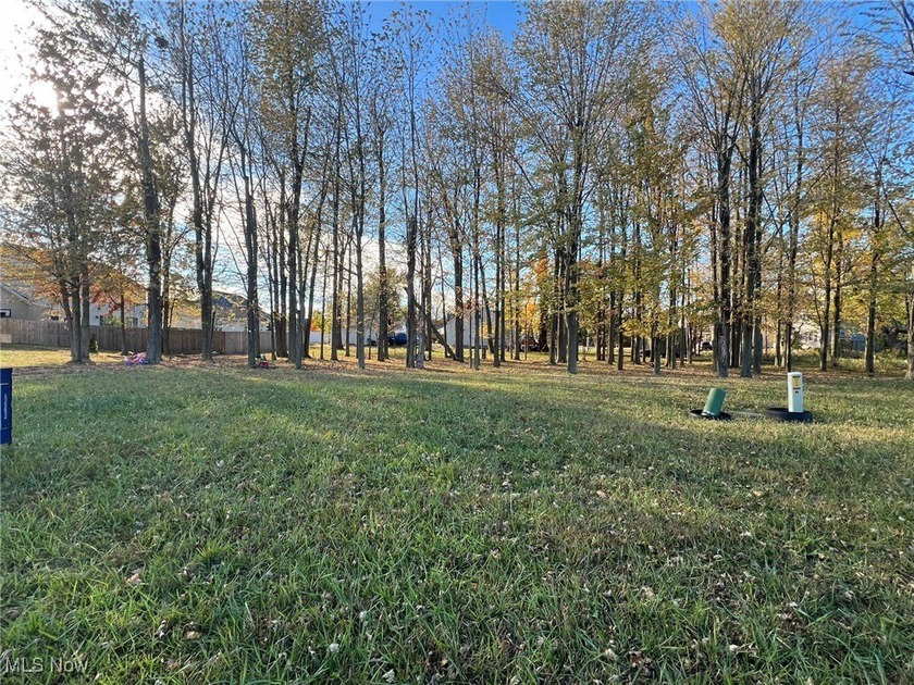 Nice lot to build your dream home in a newer neighborhood - Beach Lot for sale in Lorain, Ohio on Beachhouse.com