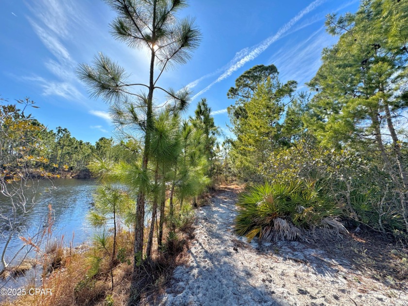 Searching for that special, private place for your next home - Beach Lot for sale in Panama City, Florida on Beachhouse.com
