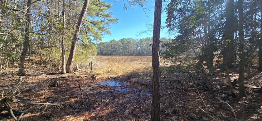 Beautiful woode parcel in quiet community with boat ramp and - Beach Acreage for sale in Machipongo, Virginia on Beachhouse.com