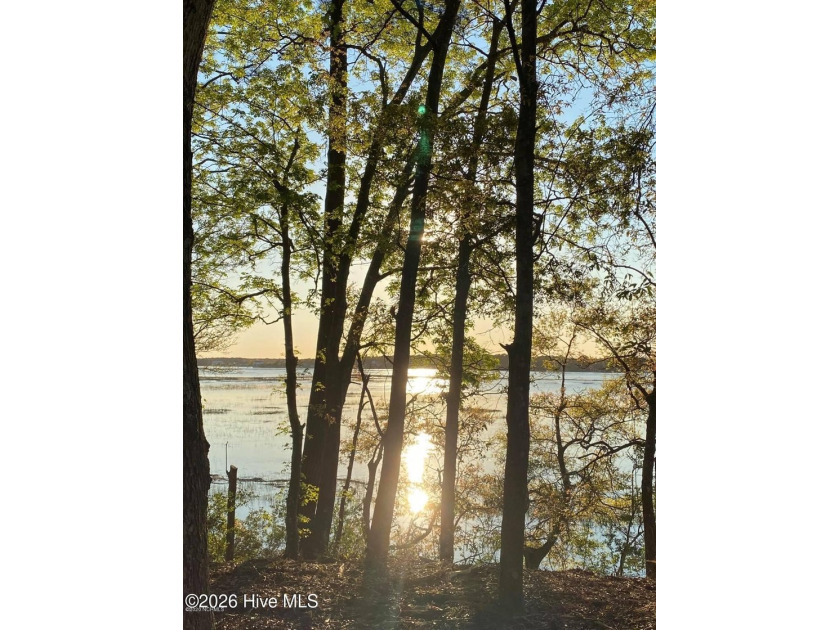 Gorgeous homesite consisting of 2 parcels combined located at - Beach Lot for sale in Supply, North Carolina on Beachhouse.com