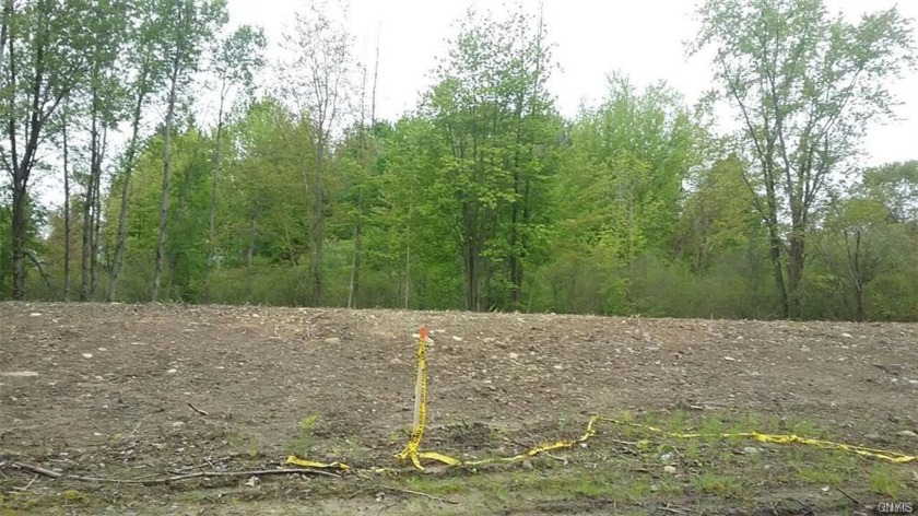 Approved Building Lot, Pulaski Village, Cleared and ready with - Beach Lot for sale in Pulaski, New York on Beachhouse.com