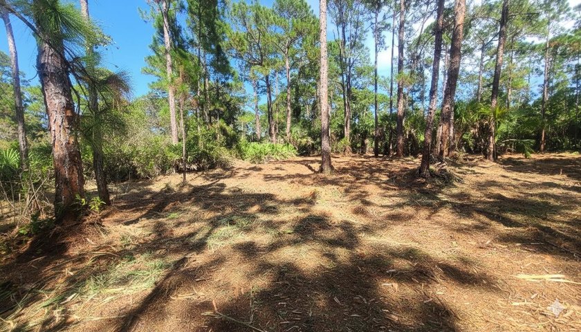Discover the potential of this expansive land property located - Beach Acreage for sale in Vero Beach, Florida on Beachhouse.com
