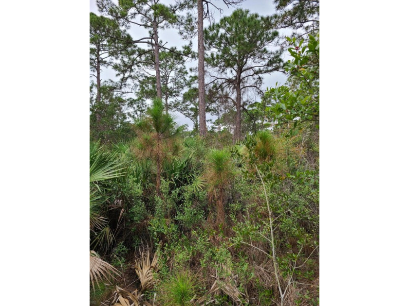 Discover the potential of this expansive land property located - Beach Lot for sale in Vero Beach, Florida on Beachhouse.com