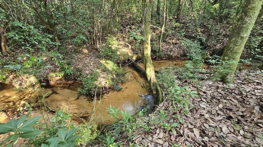 Peaceful Creekfront Retreat - 15+ Acres in Gated Community with - Beach Acreage for sale in Pace, Florida on Beachhouse.com