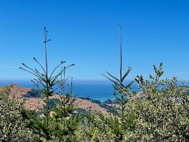 Ocean views!!! Off grid living near the Lost Coast of Northern - Beach Home for sale in Petrolia, California on Beachhouse.com