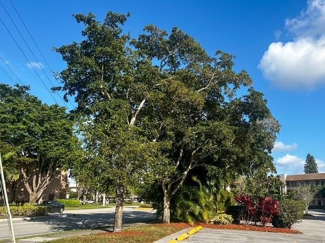 Discover this charming and conveniently located first-floor - Beach Condo for sale in Sunrise, Florida on Beachhouse.com