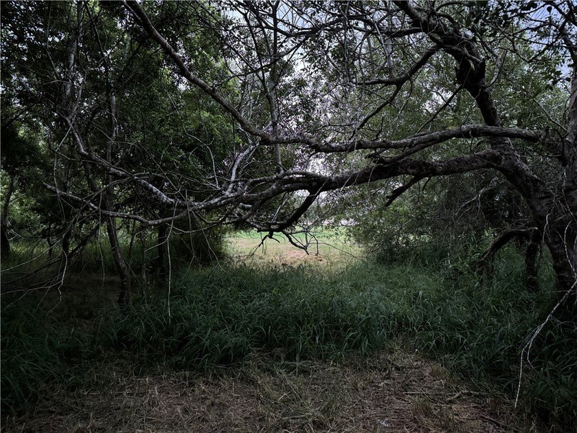 Ready to build your dream home or just a land getaway? Come see - Beach Acreage for sale in Corpus Christi, Texas on Beachhouse.com