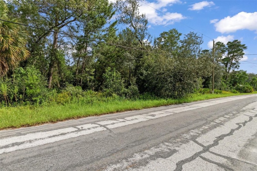 This Half Acre Lot is Ready for you to Build your Dream Home or - Beach Lot for sale in Weeki Wachee, Florida on Beachhouse.com