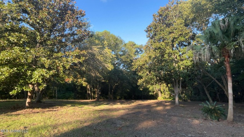 Come check out the last remaining lot in Heron Park Place! This - Beach Lot for sale in Ocean Springs, Mississippi on Beachhouse.com