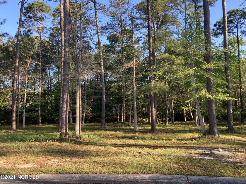 Lovely building lot available in Rivers Edge. Rivers Edge is a - Beach Lot for sale in Shallotte, North Carolina on Beachhouse.com