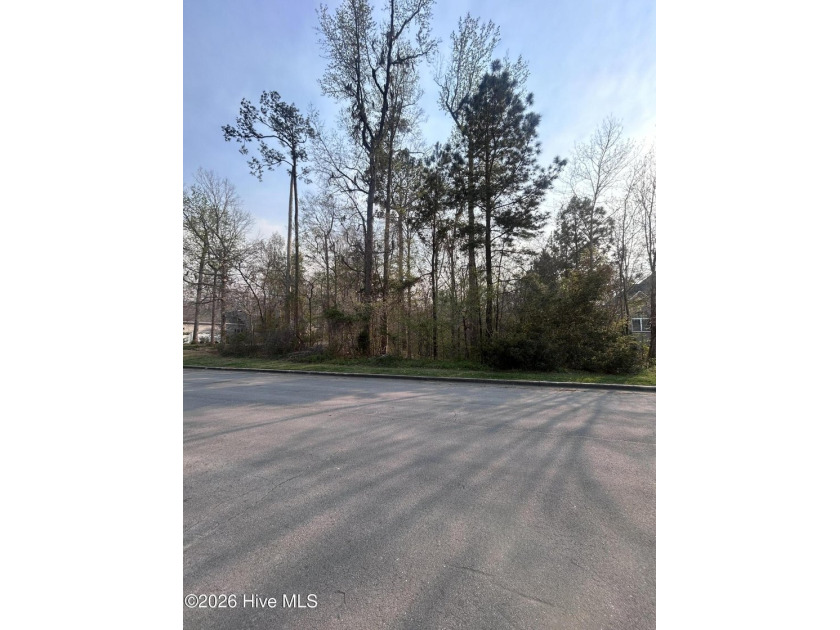 RARE OPPORTUNITY! One of the last available lots in Neuse - Beach Lot for sale in New Bern, North Carolina on Beachhouse.com