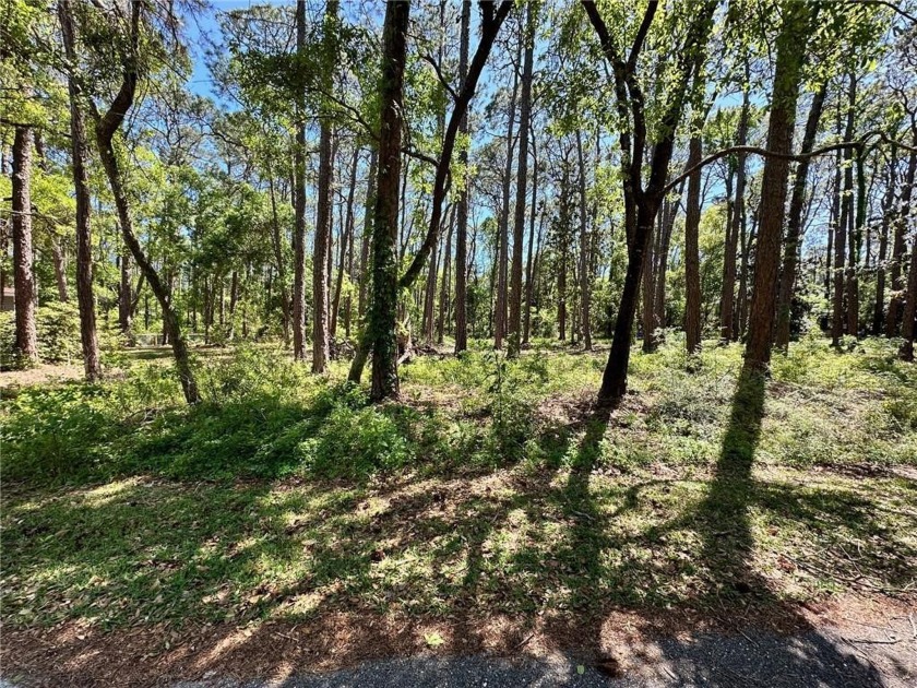Nestled at the end of a quiet street amidst the tranquil pines - Beach Lot for sale in Dauphin Island, Alabama on Beachhouse.com
