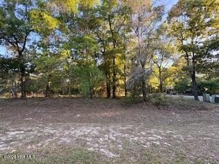 Situated on a large corner lot in the highly sought-after Oyster - Beach Lot for sale in Supply, North Carolina on Beachhouse.com