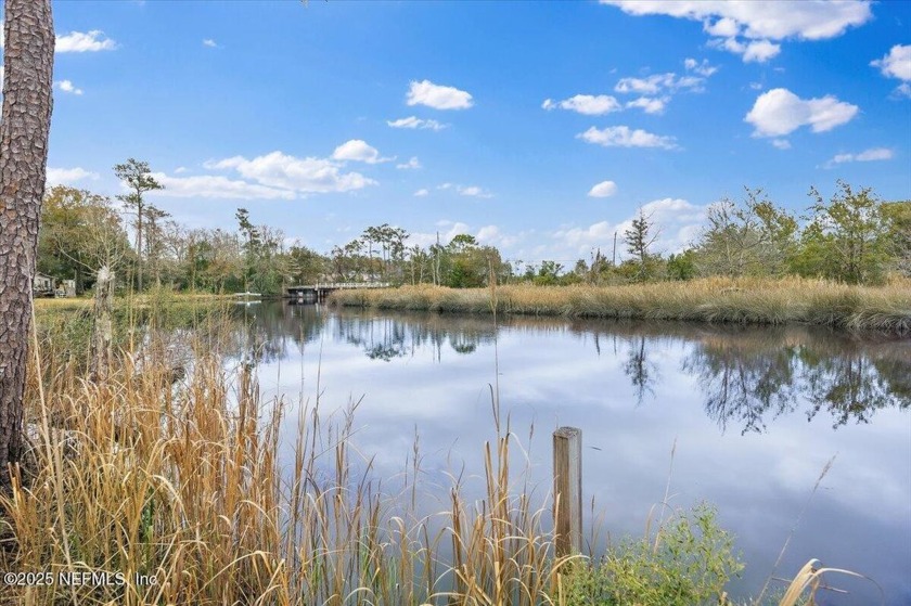 WHAT A FIND!!! Fully Developable acreage on the Trout River - Beach Acreage for sale in Jacksonville, Florida on Beachhouse.com