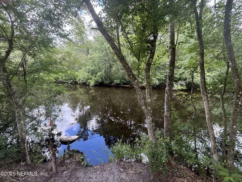 KAYAK!!!  GO FISHING!!!  RELAX!!!  Beautiful MATURE palm trees - Beach Lot for sale in Middleburg, Florida on Beachhouse.com
