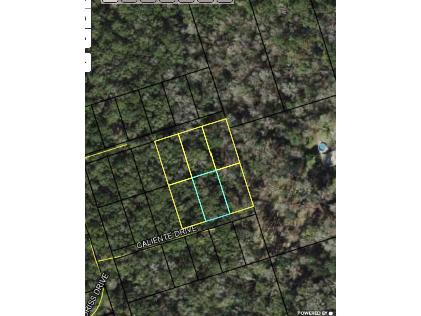 3 Available residential lots, all lots are cleared out! All - Beach Lot for sale in Crawfordville, Florida on Beachhouse.com