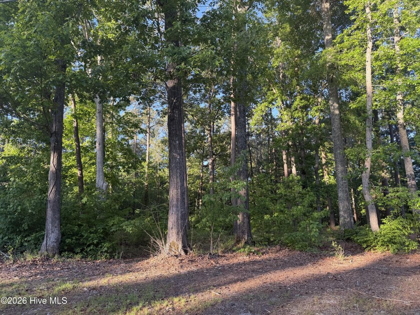 Located within a private, established community, the lot - Beach Lot for sale in Hertford, North Carolina on Beachhouse.com