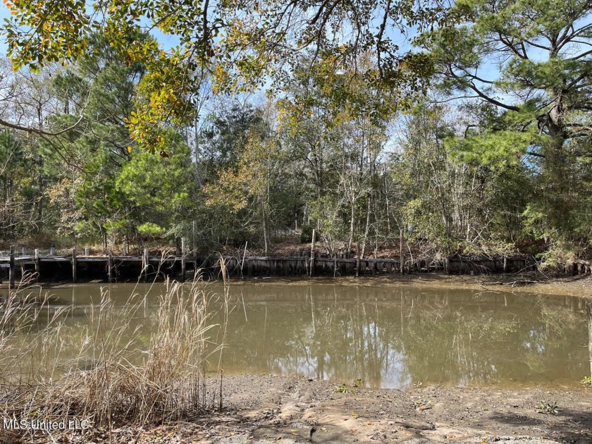 Looking for THE PERFECT fish camp lot? You have found it!  Lot - Beach Lot for sale in Ocean Springs, Mississippi on Beachhouse.com