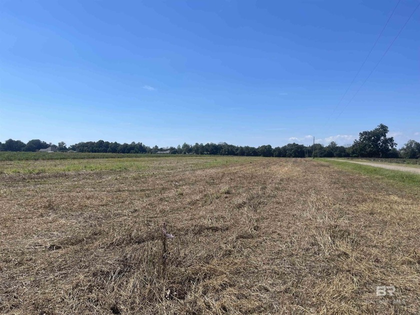 3 acre lot, centrally located in the county making it simple to - Beach Acreage for sale in Silverhill, Alabama on Beachhouse.com