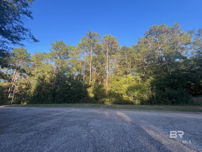 Looking to build your dream home in a well-established - Beach Lot for sale in Daphne, Alabama on Beachhouse.com