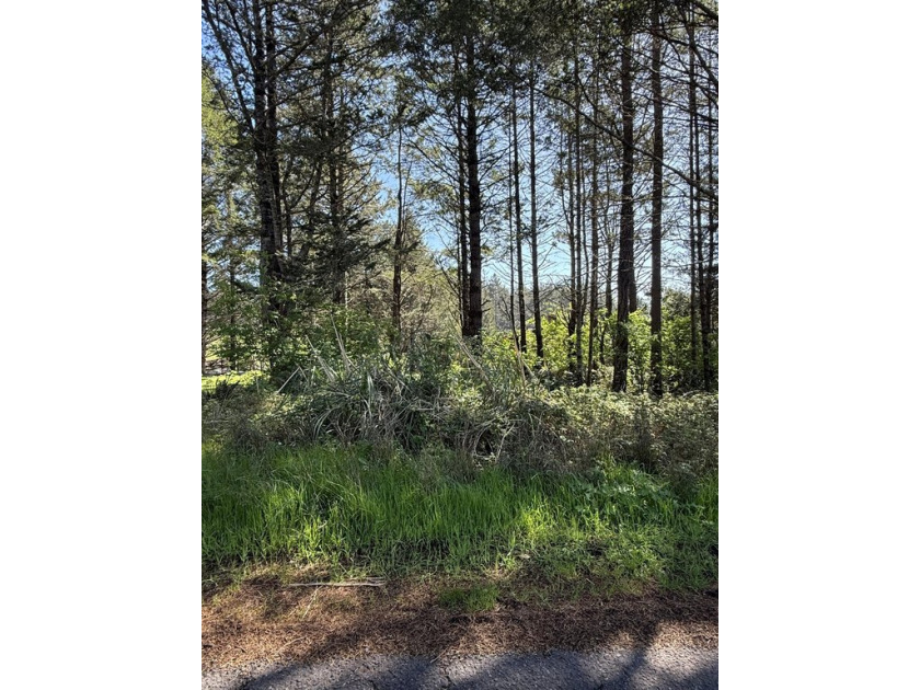 Located within close proximity to the beach, airstrip, golf - Beach Lot for sale in Whitethorn, California on Beachhouse.com