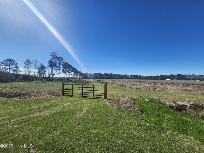 JUST OVER 11 acres CLEARED AND READY TO BUILD, NO RESTRICTIONS - Beach Acreage for sale in Merritt, North Carolina on Beachhouse.com