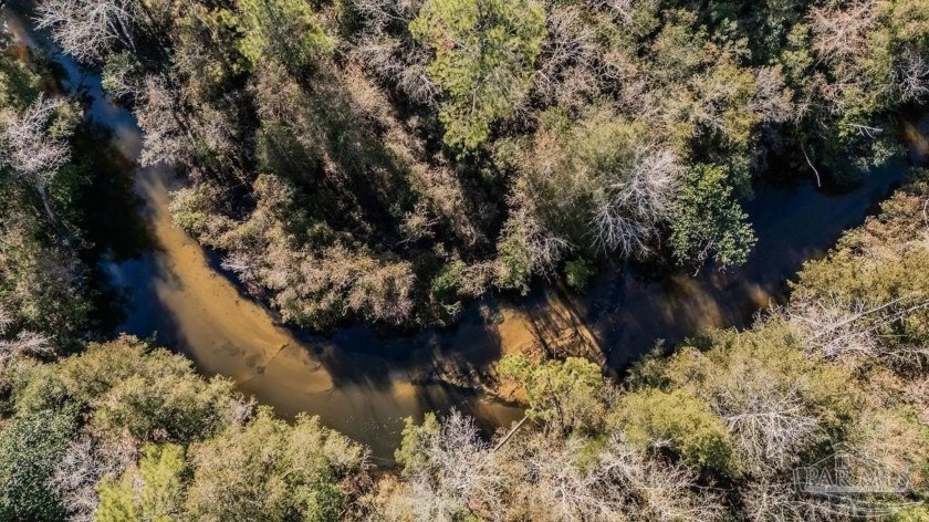 Exceptionally Rare 37-Acre Creekfront Tract - North of Milton - Beach Acreage for sale in Milton, Florida on Beachhouse.com