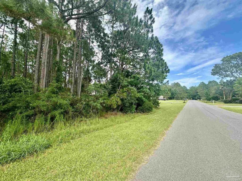 Location! Location! - Last Lot available on Brinkley St.-Come be - Beach Lot for sale in Navarre, Florida on Beachhouse.com