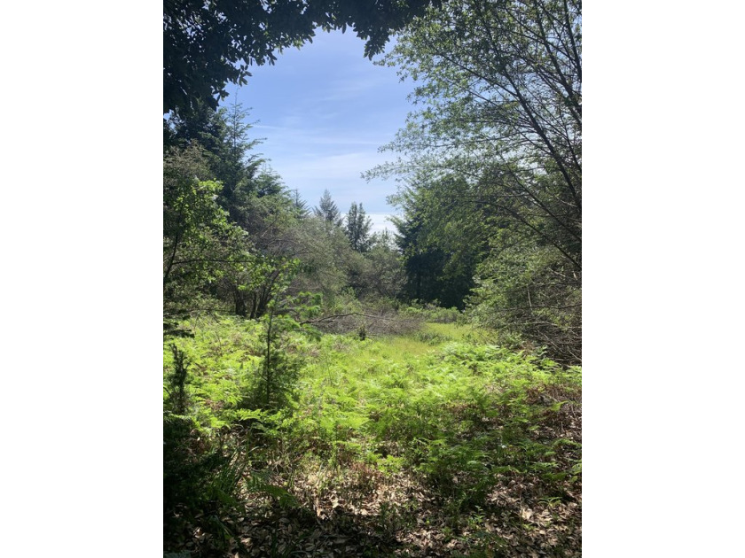 Two Shelter Cove lots situated above the fog line. Flat usable - Beach Lot for sale in Shelter Cove, California on Beachhouse.com