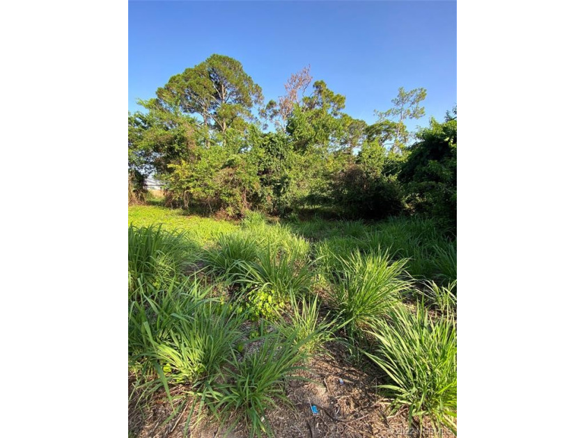 Location!! Location!! Are you looking for land to put a business - Beach Lot for sale in Edgewater, Florida on Beachhouse.com