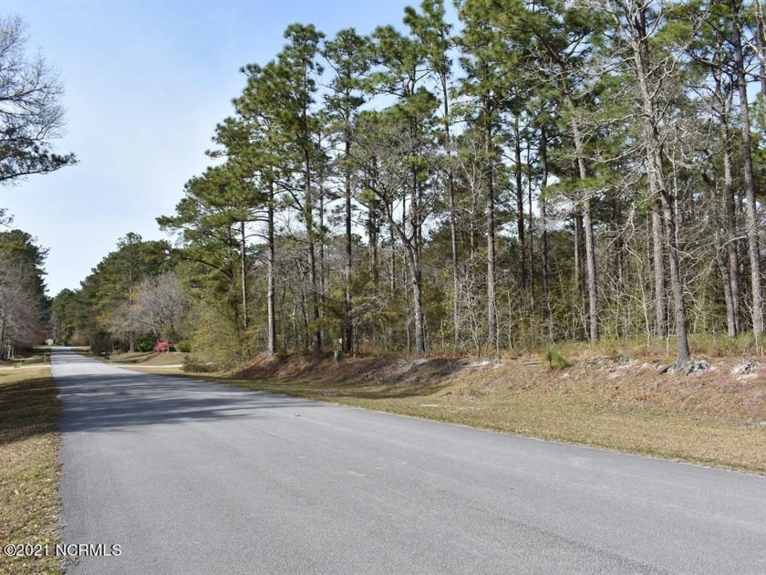 Beautiful wooded 0.55 acre lot and a half in the quiet Minnesott - Beach Lot for sale in Minnesott Beach, North Carolina on Beachhouse.com