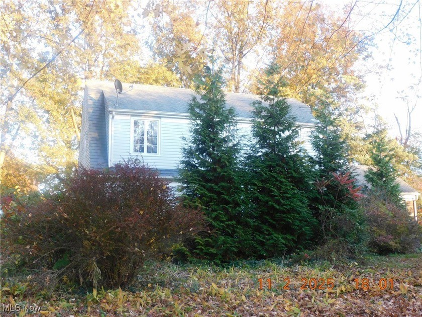 Located in the heart of historic Ashtabula Harbor! This charming - Beach Home for sale in Ashtabula, Ohio on Beachhouse.com